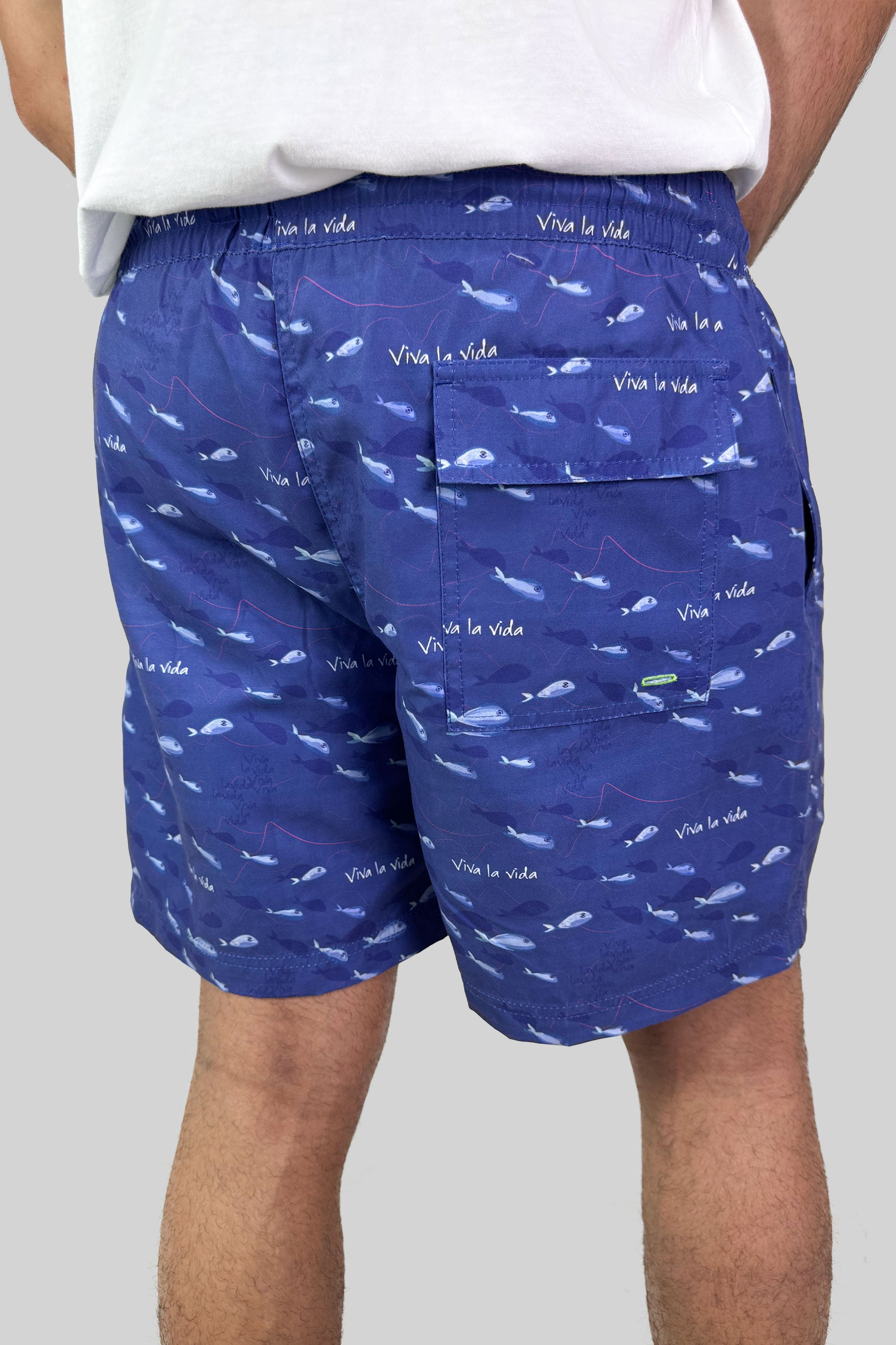 PANTALONETA FISHIES